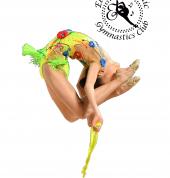 Elite Rhythmic Gymnastics Club Burleigh Waters Gymnastics Centres 3_small