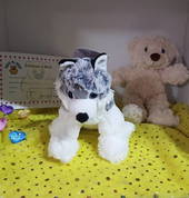 A couple of teddies available for Tea with Build a Teddy party