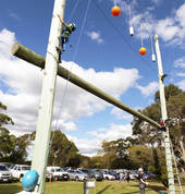 Take a walk on the wild side with our great activities!