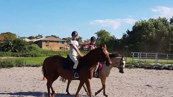 20% off your first private horse riding lesson Malabar Horse Riding Schools _small