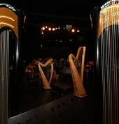 Harp Classes & Lessons