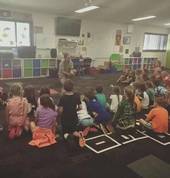 N&S Wildlife Demonstrations Brisbane / Ipswich Ipswich Mobile Farm & Animals 4_small