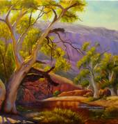 Orminston Gorge, Oil on linen