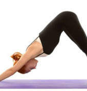 Kutumba Yoga Wollongong Yoga 1_small