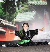 Emerald Dragon Martial Arts Penrith Martial Arts Academies 2_small