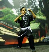 Emerald Dragon Martial Arts Penrith Martial Arts Academies 4_small