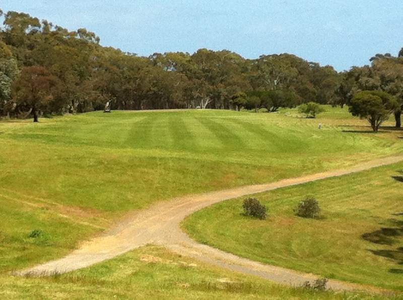 Belair National Park Golf Course Golf Clubs for Kids ActiveActivities