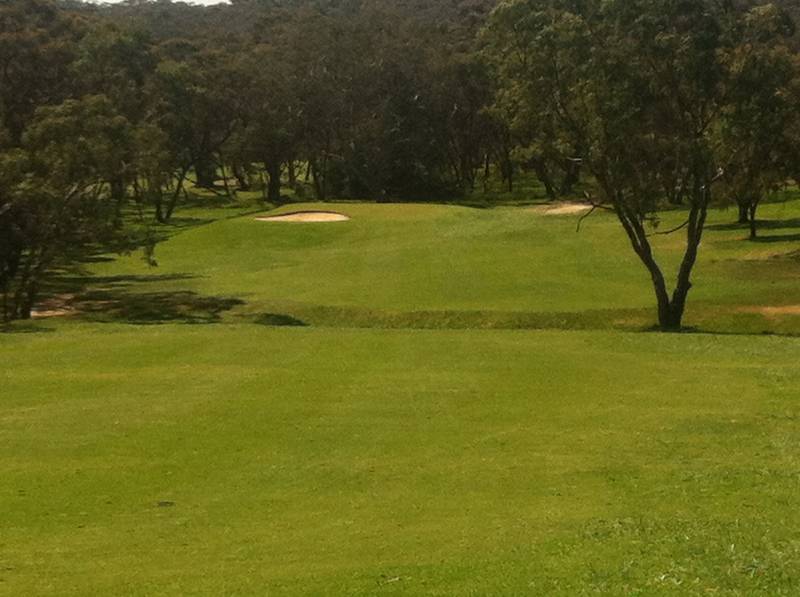 Belair National Park Golf Course Golf Clubs for Kids ActiveActivities