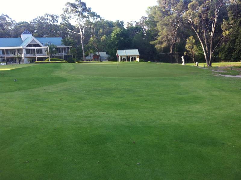 Belair National Park Golf Course Golf Clubs for Kids ActiveActivities