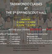 THE BEST Taekwondo - Epping