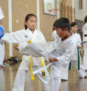 First Taekwondo Perth Kids kick