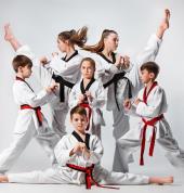 karate in Earlwood