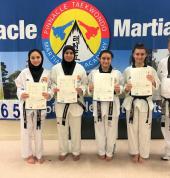 Pinnacle Taekwondo Martial Arts in Chester Hill Chester Hill Health & Wellbeing 2_small