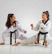 Pinnacle Taekwondo Martial Arts in Chester Hill Chester Hill Health & Wellbeing 3_small
