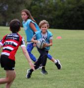 Hawthorn Touch7s Hawthorn East Touch Football Clubs 3_small