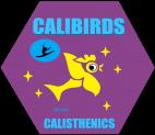 FIRST LESSON FREE Birdwood Calisthenics Clubs