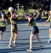 Northern Pride Netball Association Mernda Netball Associations 2_small
