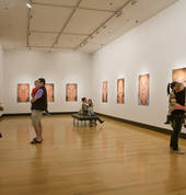 Exhibition Gallery, Ipswich Art Gallery