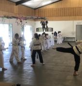 Yong-gi Taekwondo Australia Mount Warren Park Mount Warren Park Taekwondo Schools 2_small