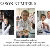 Toogee Martial Arts Raymond Terrace Taekwondo Classes & Lessons 2_small
