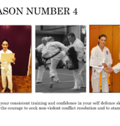 Toogee Martial Arts Raymond Terrace Taekwondo Classes & Lessons 4_small