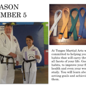 Toogee Martial Arts Raymond Terrace Taekwondo Classes & Lessons 5_small
