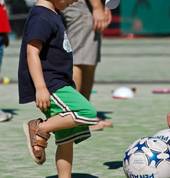 Sport Monkeys practising kicking.
