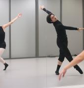 Pioneer Dancer Program