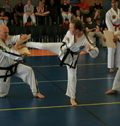 Black belt testing combination break