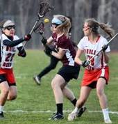sunshine coast lacrosse