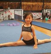 Competition Level 1+ Available