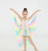 Junior Ballet /Jazz /Tap Combo Classes