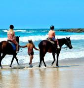 Hallidays Point Equestrian Hallidays Point Horse Riding Coaches & Instructors 2_small