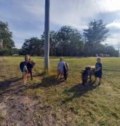Hallidays Point Equestrian Hallidays Point Horse Riding Coaches & Instructors 3_small