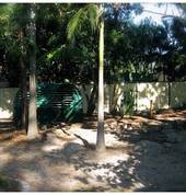 The Digging Patch