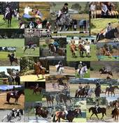 Birralee and Districts Pony Club Glengarry Pony Riding Clubs 1_small