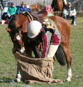 Birralee and Districts Pony Club Glengarry Pony Riding Clubs 2_small