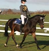Birralee and Districts Pony Club Glengarry Pony Riding Clubs 3_small