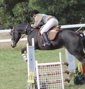 Birralee and Districts Pony Club Glengarry Pony Riding Clubs 4_small