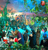 Snowing in the Forest with Sound & Light Show