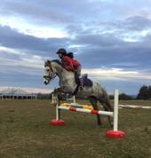 Learning some to showjumping techniques