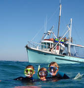 Sea All Dolphin Swims' boat 'Maureen'
