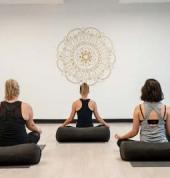 Momentum Yoga