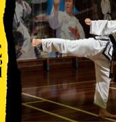 Rhee Tae Kwon Do Perth Noranda Taekwondo Classes & Lessons 9_small