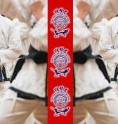 Rhee Tae Kwon Do Perth Noranda Taekwondo Classes & Lessons 16_small