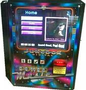 DDJ Australia Branyan Party Entertainment 3_small