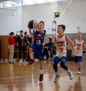 ProBall Basketball Pty Ltd Waterloo Basketball Clubs 3_small