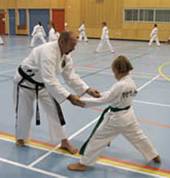 Shim Jang Class