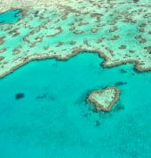 Heart Reef_Great Barrier Reef_The Whitsundays
