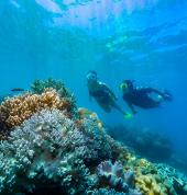 Snorkelling_The Whitsundays